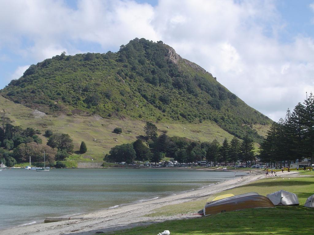 Seagulls * Mount Maunganui